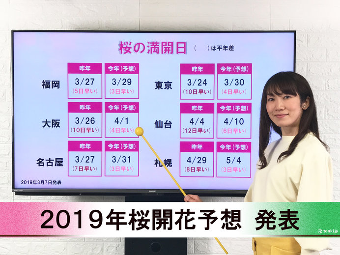 【動画で解説】日本気象協会から「第3回 2019年桜開花予想」発表！