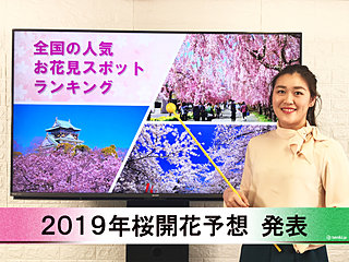 【動画で解説】日本気象協会から「第4回 2019年桜開花予想」発表！