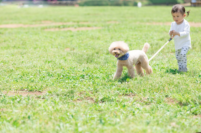 〈愛犬のお散歩〉犬種別の運動量とは？老犬の運動はどうする？