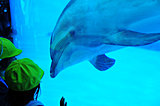 GWに行きたい絶対おすすめの水族館、厳選4スポット！