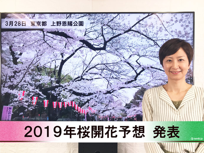 【動画で解説】日本気象協会から「第6回 2019年桜開花予想」発表！
