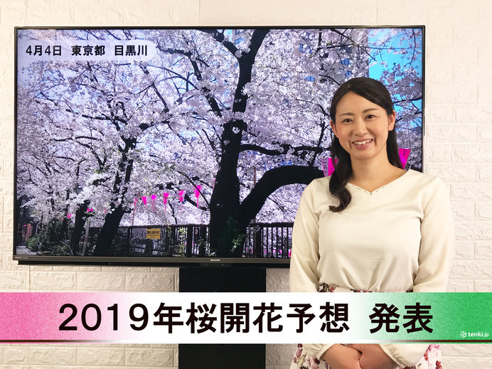 【動画で解説】日本気象協会から「第7回 2019年桜開花予想」発表！