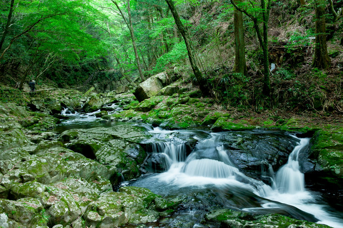 新緑の森林浴 マイナスイオンたっぷりの滝や竹林にでかけよう 近畿の森林浴スポットは Tenki Jpサプリ 19年04月27日 日本気象協会 Tenki Jp