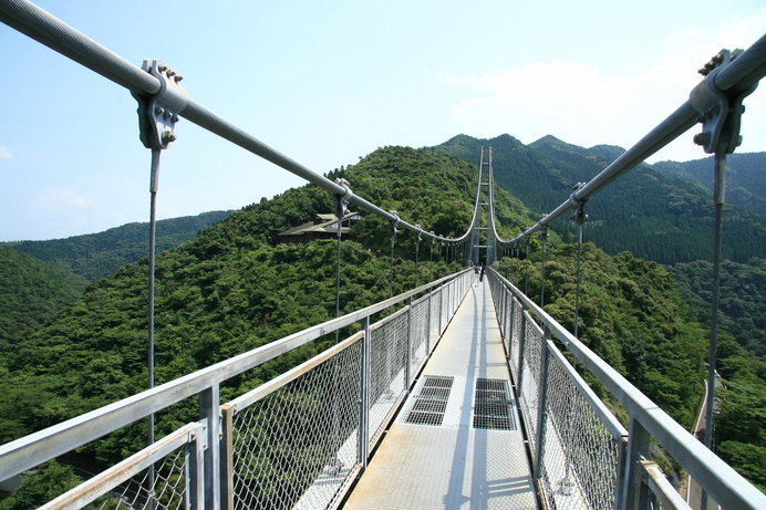 豊かな森へと続く、天空の架け橋のよう