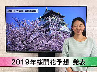 【動画で解説】日本気象協会から「第8回 2019年桜開花予想」発表！