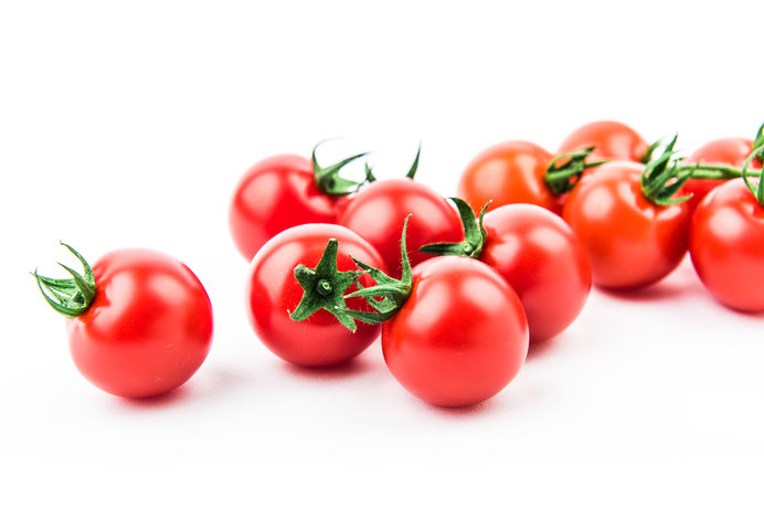 今が準備に最適！「カンタン袋栽培」でミニトマトを育てよう！