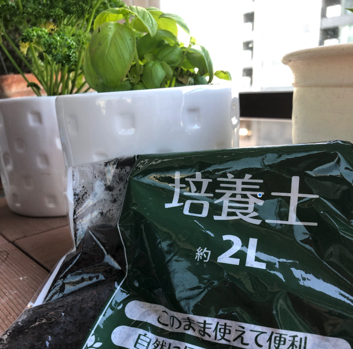 今が準備に最適 カンタン袋栽培 でミニトマトを育てよう Tenki Jpサプリ 19年04月22日 日本気象協会 Tenki Jp