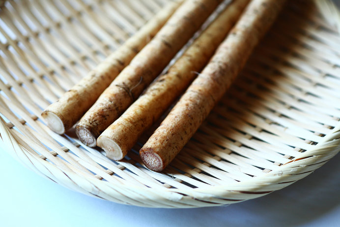 見た目に華はないけれど、この時期に手にとってほしい食材「ごぼう」