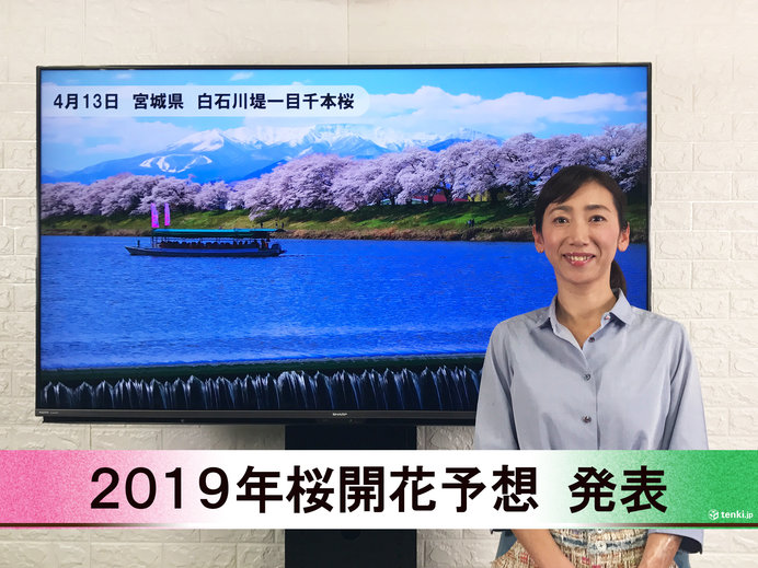 【動画で解説】日本気象協会から「第9回 2019年桜開花予想」発表！