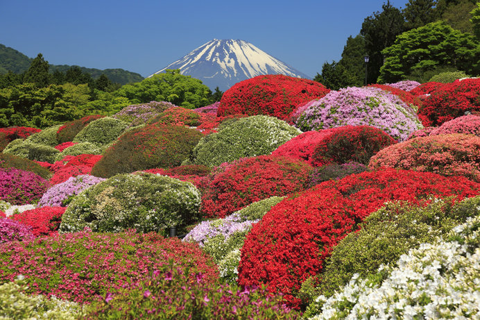 芦ノ湖の絶景に癒されてみては！