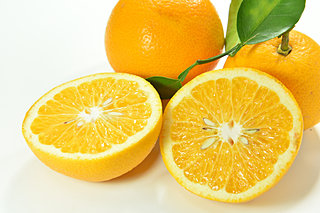 紫外線量急増中。疲労回復や美肌作りに柑橘（かんきつ）類を食べよう