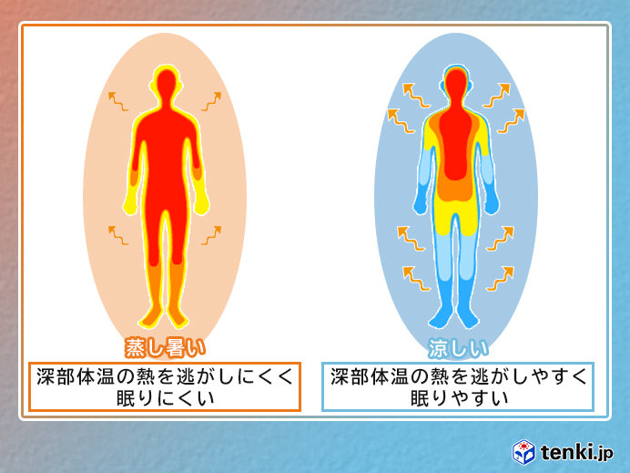 蒸し暑い夜もぐっすり眠るには？～水野先生インタビュー～_画像