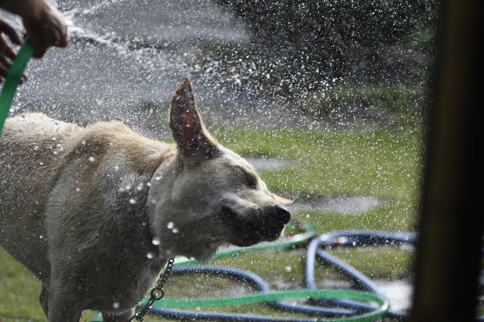 水浴び気持ちいいな～♪