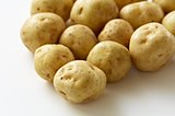 新じゃがの季節!! 北海道で「じゃがいも」の収穫が始まりました