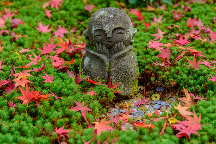 紅く色づいた紅葉と十牛之庭のお地蔵様も「圓光寺」の紅葉スポットです