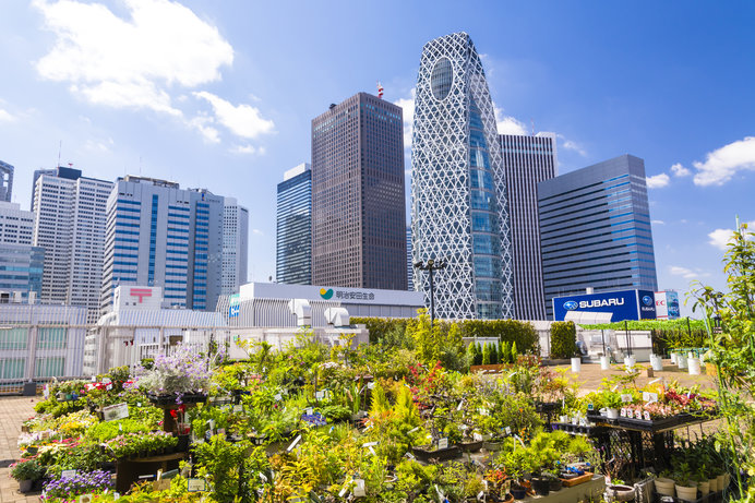 屋上庭園から見る新宿副都心のビル群