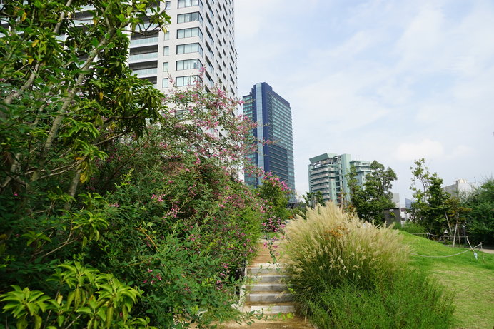 目黒・大橋ジャンクション 天空庭園