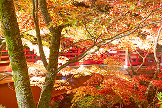 時空を超えた美しさを愛でる。甲信越の紅葉に逢いに行こう♪