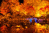 北関東の紅葉を見に行こう♪夜のライトアップも美しい紅葉名所４選