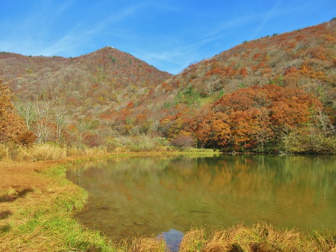 見事な紅葉が広がる「三瓶山」の室内池の景観