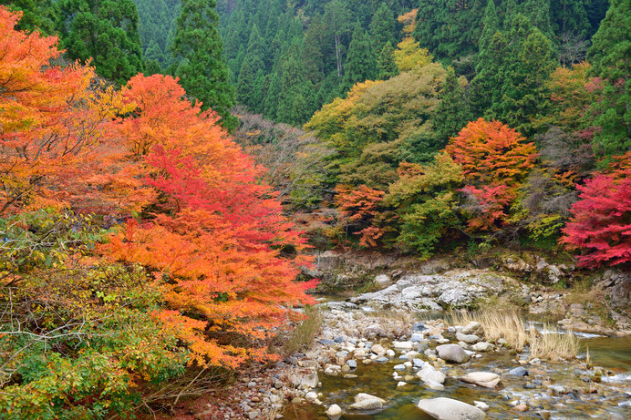 今が見頃 島根県 岡山県 広島県の紅葉観賞 おすすめスポット4選 Tenki Jpサプリ 19年11月09日 日本気象協会 Tenki Jp