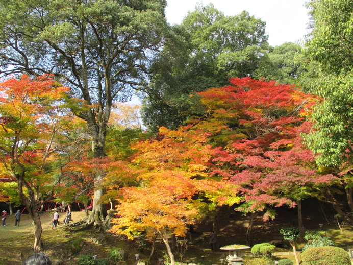 今が見頃 島根県 岡山県 広島県の紅葉観賞 おすすめスポット4選 Tenki Jpサプリ 19年11月09日 日本気象協会 Tenki Jp