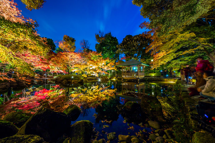 東京の紅葉を満喫しよう♪自然豊かでスタイリッシュな都会の紅葉名所４選