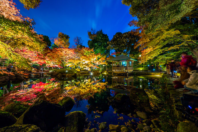 夜の大田黒公園（杉並区）