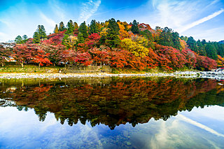 赤・橙・黄色が織りなす絶景！東海の紅葉スポット4選