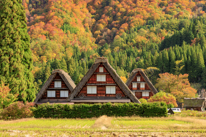 そこには日本の原風景があります！