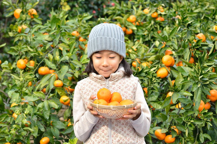 今が旬。実りの秋は島根・山口・徳島で果物狩りを！