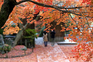 佐賀・長崎・福岡の紅葉を見に行こう♪九州の紅葉名所４選