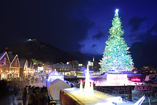 海に浮かぶツリー!!～函館の「クリスマスファンタジー」