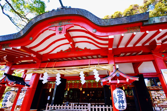 熱海　來宮神社（静岡県）