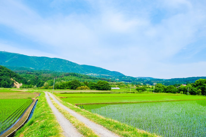 写真はイメージです