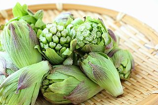 食卓にほろ苦い春の息吹を。2月10日は「蕗の薹の日」です