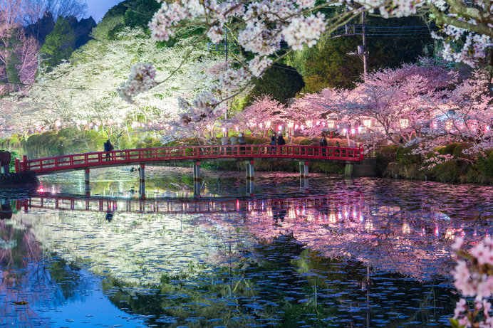 茂原公園（千葉県）