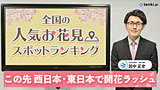 【動画で解説】この先西日本・東日本で開花ラッシュ！　全国の人気お花見スポットをランキング形式で紹介