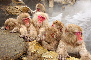 今日から使える！知っておきたい温泉の豆知識