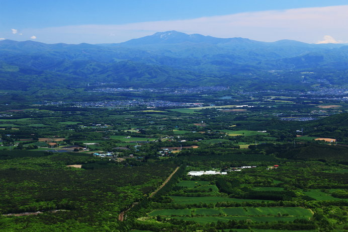 東京小石川区で息を引き取るとき瞼に浮かんだのは故郷の野山だったでしょうか