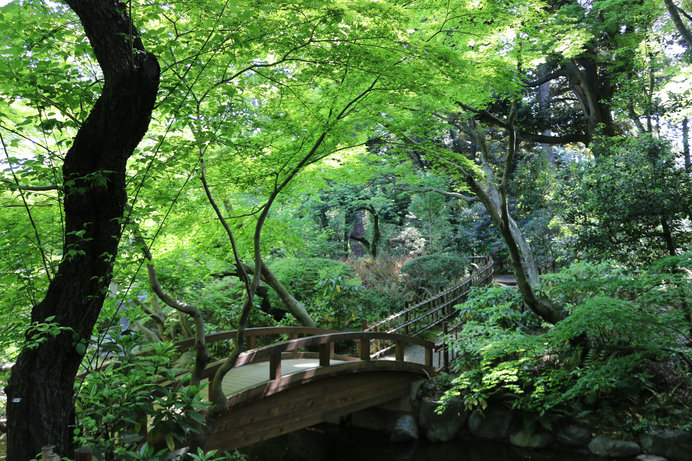 東京都庭園美術館　日本庭園　(c)東京都庭園美術館