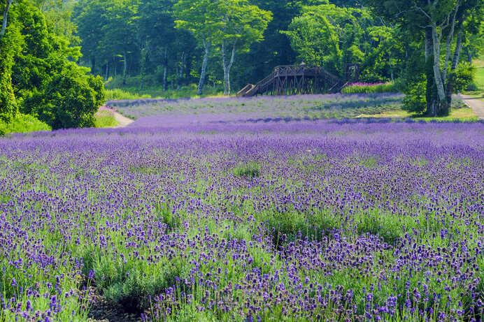 ※写真はイメージです