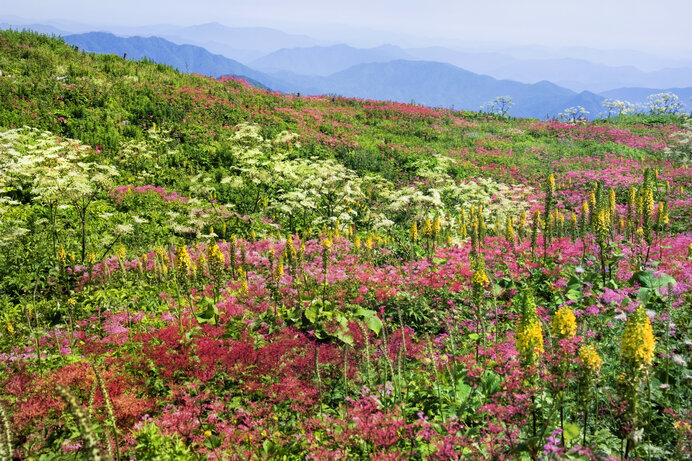山頂の絶景を楽しもう 日帰りで登れる夏の山 関西編 Tenki Jpサプリ 年07月29日 日本気象協会 Tenki Jp