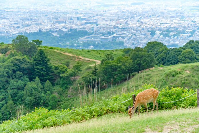 ※写真はイメージです