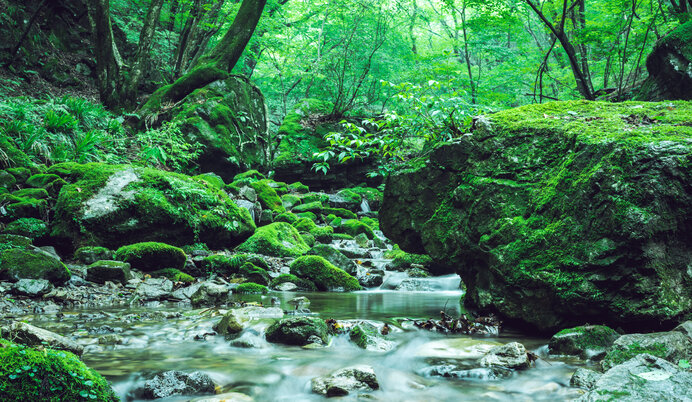 日帰りで登れる夏の山 関東編 涼やかな絶景を楽しもう Tenki Jpサプリ 21年07月31日 日本気象協会 Tenki Jp 日帰りで登れる夏の山 関東編 涼やかな絶景を楽しもう Tenki Jpサプリ 21年07月31日 日本気象協会 Tenki Jp