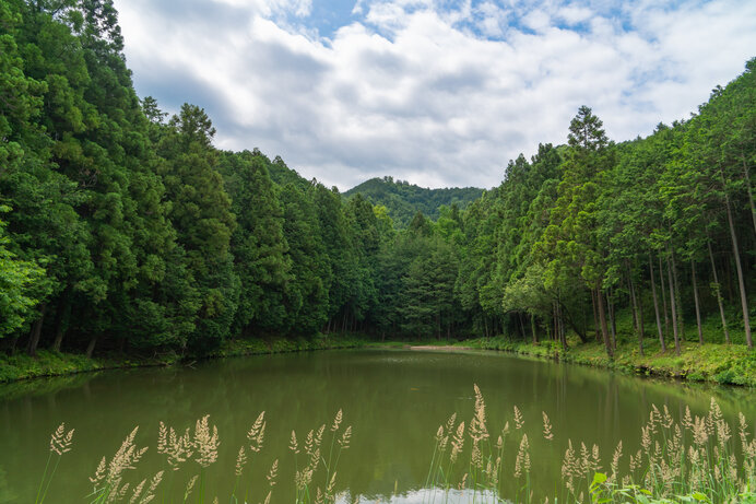 日帰りで登れる夏の山 関東編 涼やかな絶景を楽しもう Tenki Jpサプリ 21年07月31日 日本気象協会 Tenki Jp