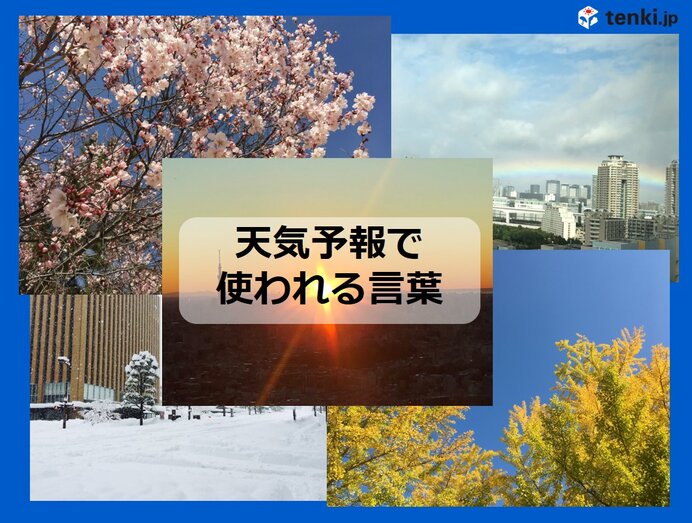 元テレビ局アナ気象予報士が教える 天気予報で使われる言葉 天気予報に詳しくなろう Tenki Jpサプリ 年08月21日 日本気象協会 Tenki Jp