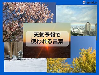 元テレビ局アナ気象予報士が教える　「天気予報で使われる言葉」　天気予報に詳しくなろう