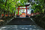 日本一多い！八幡神社にまつられる「八幡さま」は、どんな神さま？