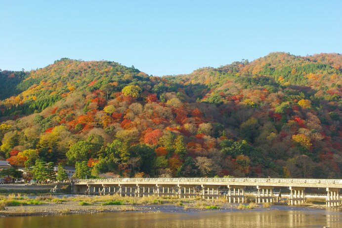 紅葉の錦に誘われる季節になりました～平安和歌に見られる紅葉～_画像